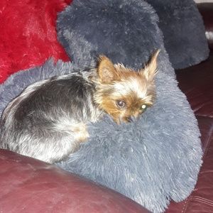 Meet your Posher, Diane